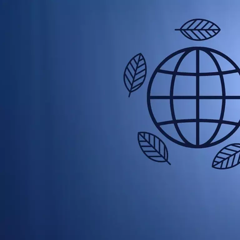 Supporting Ocean Conservation Initiatives