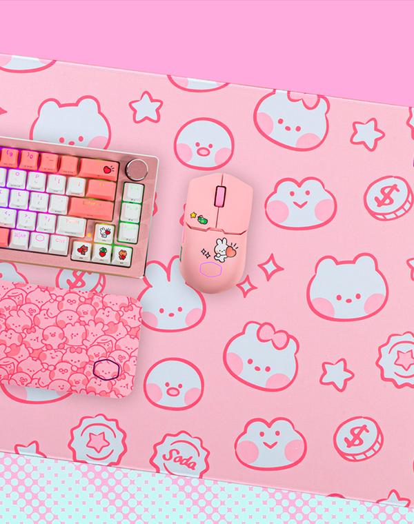 LINE FRIENDS minini 限定版