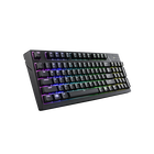MasterKeys Pro M RGB Mechanical Gaming Keyboard