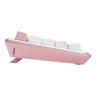 CK721 Sakura Limited Edition