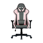 Caliber R1S Rose Gaming Chair - Rose White & Rose Gray